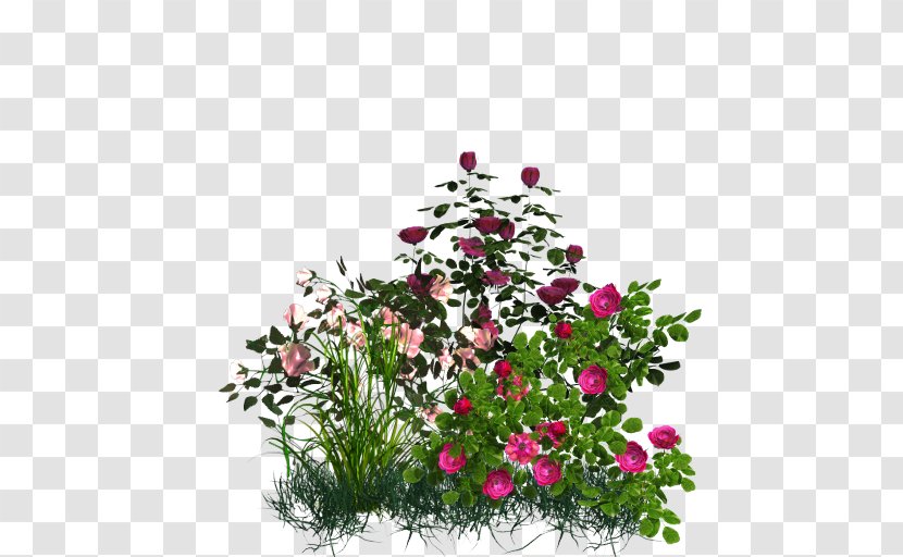 Flower Garden Rose - Wild Flowers Transparent PNG