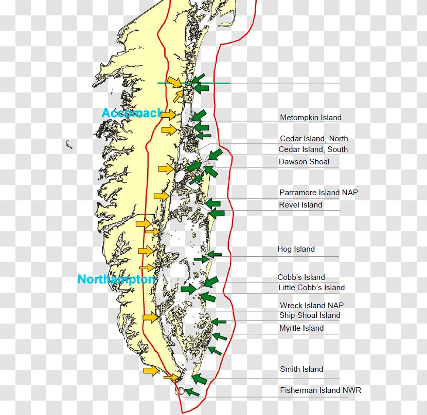 Virginia Barrier Islands Eastern Shore Of East Coast The United States - Sand - Map Transparent PNG