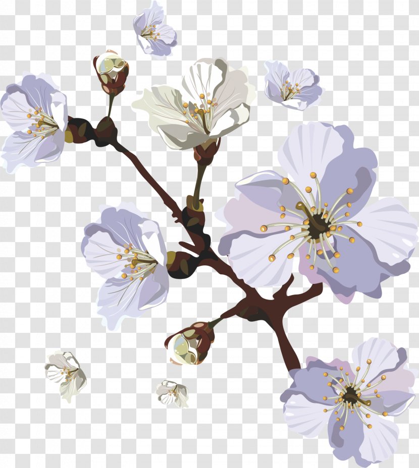 Cherry Blossom - Membrane Winged Insect - Painted Blossoms Transparent PNG