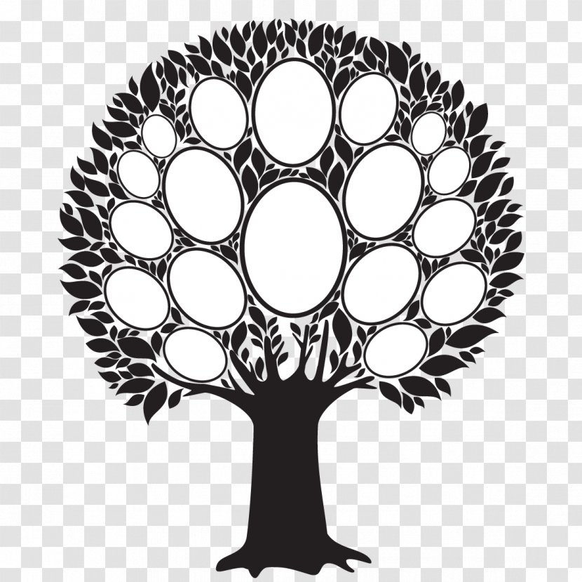 Picture Frames Family Tree - Flowering Plant Transparent PNG