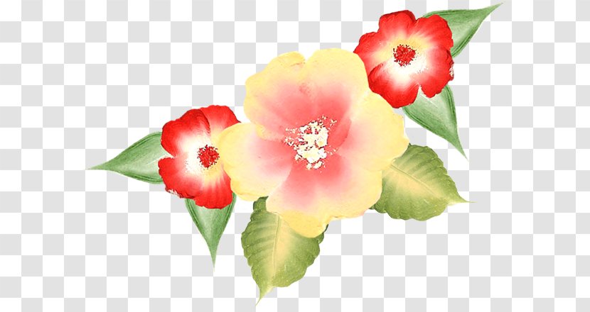 Flower Petal Weapon Clip Art - Flowering Plant Transparent PNG