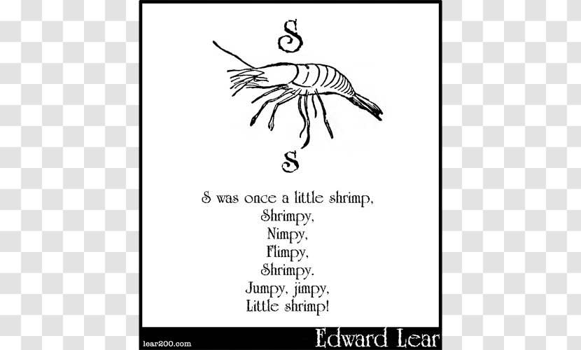 El Rei Lear Calligraphy Document Fauna - Flower - White Shrimp Transparent PNG
