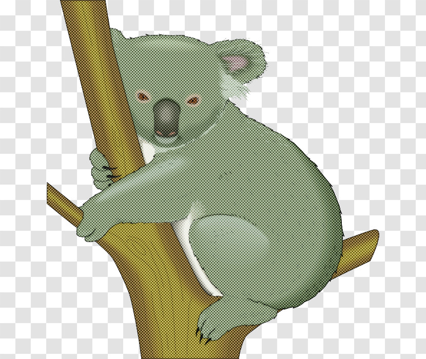 Koala Cartoon Bear Green Snout Transparent PNG