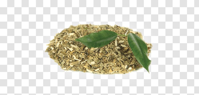 Green Tea - Cuisine - Ingredient Transparent PNG
