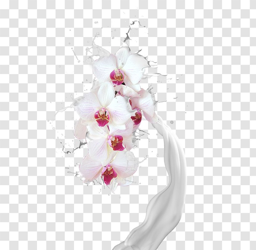 Floral Design Moth Orchids Cut Flowers Flower Bouquet Artificial - Milk Splash Transparent PNG