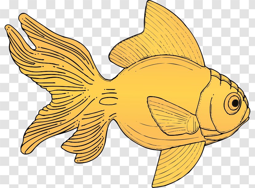 Carassius Auratus Fish Clip Art - Yellow - Sea Animal Transparent PNG