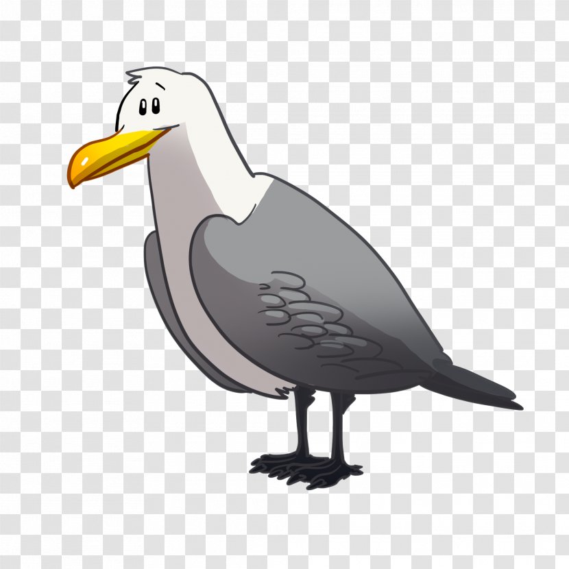 Beak Goose Cygnini Bird Grey Geese - Pelican Transparent PNG