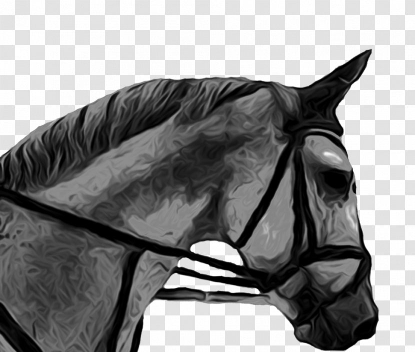 Rein Mustang Stallion Halter Bridle - Bit Transparent PNG