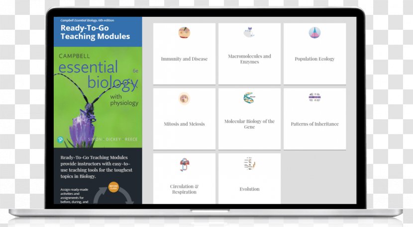 Essential Biology Human Anatomy & Physiology - Teacher Transparent PNG