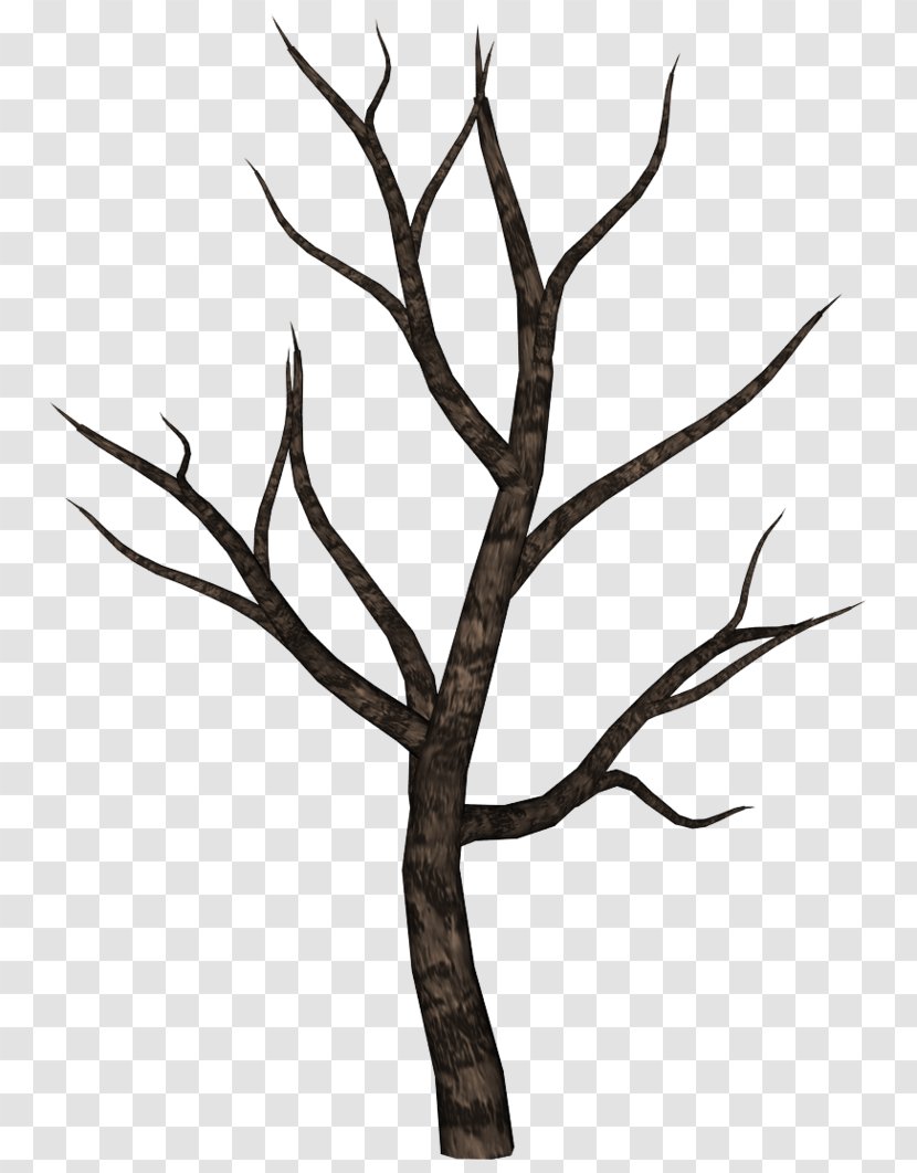 Tree Oak Clip Art - Commercial Invoice - Creepy Transparent PNG