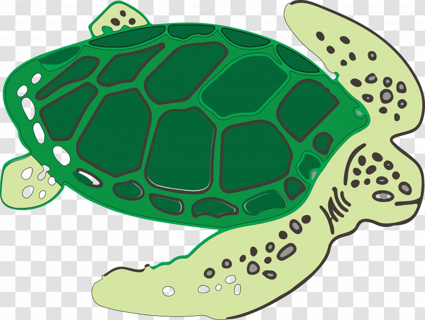 Sea Turtle Tortoise - Seabed - Hand Drawn Millennium Vector Transparent PNG
