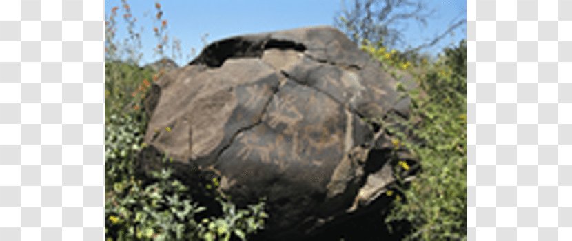 Nature Reserve Outcrop Geology Biome Shrubland - Wildlife - Rock Event Transparent PNG