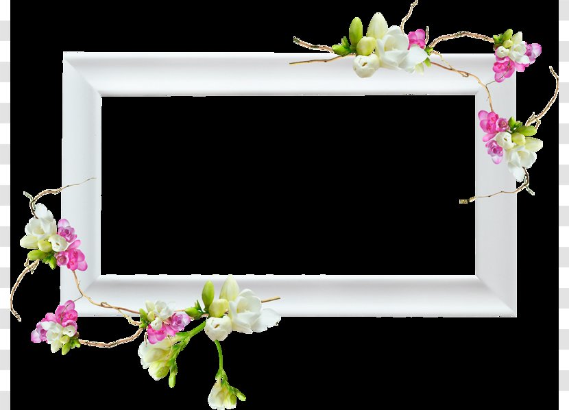 Picture Frames Flower Image Design - Decorative Arts Transparent PNG