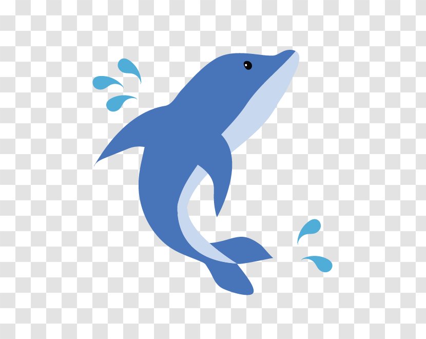 Common Bottlenose Dolphin Tucuxi Illustration Clip Art - Blue Transparent PNG