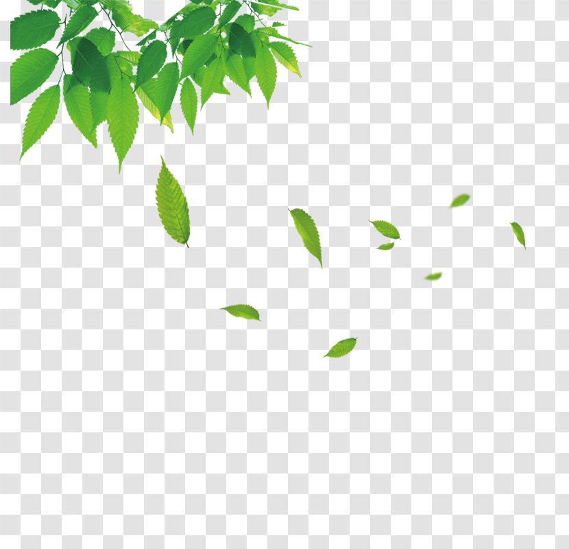Huanxiangshan Road Information Icon - Palapa - Floating Leaves Transparent PNG