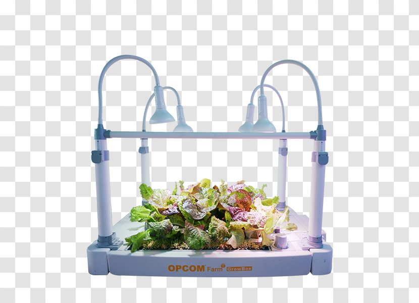 Hydroponics Flowerpot Grow Box Garden Amazon.com - Agriculture - Hydroponic Boxes For Vegetables Transparent PNG