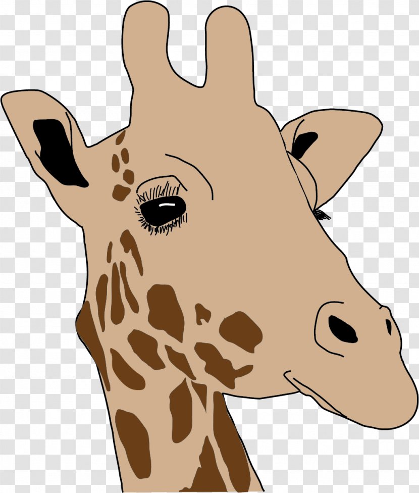 Giraffe Neck Snout Wildlife Clip Art - Head Transparent PNG