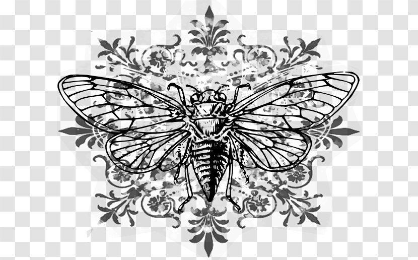 Brush-footed Butterflies Line Art Visual Arts Drawing Blue Microphones SNOWFLAKE USB Condenser Microphone - Arthropod - Cicada Transparent PNG