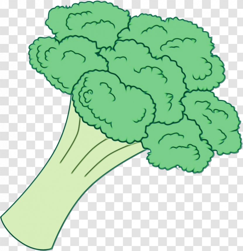 Green Leaf Cruciferous Vegetables Broccoli Plant - Watercolor - Vegetable Transparent PNG