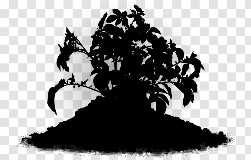 Black & White - Blackandwhite - M Silhouette Flower Leaf Transparent PNG