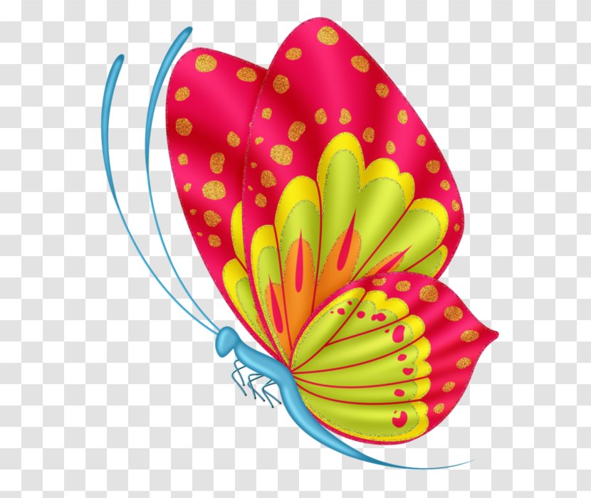 Butterfly Clip Art Vector Graphics Desktop Wallpaper - Petal Transparent PNG