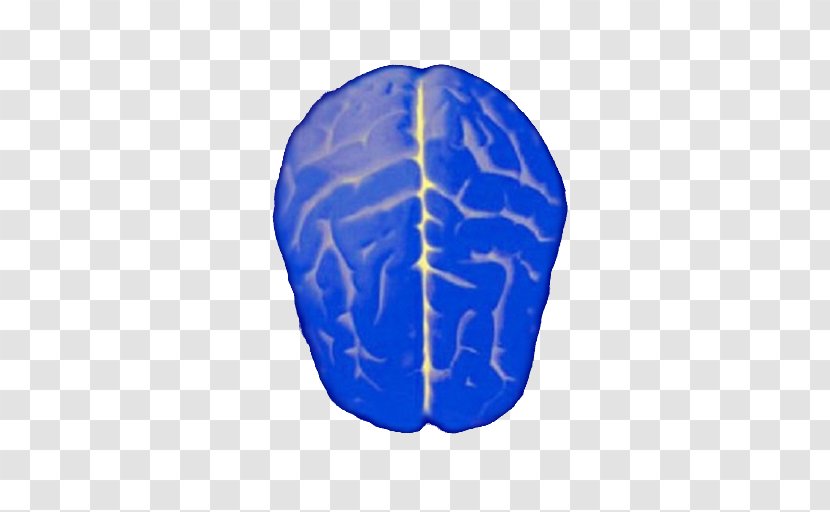 Cerveau Et Psychologie: Introduction à L'imagerie Cérébrale Anatomique Fonctionnelle Brain Neuroimaging Neuroscience Psychology - Heart Transparent PNG