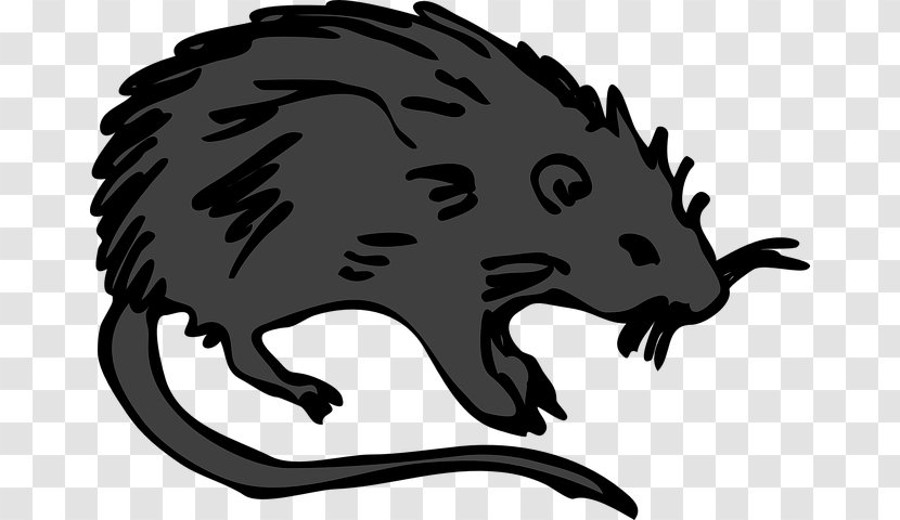 Brown Rat Clip Art Mouse Rodent Laboratory Transparent PNG