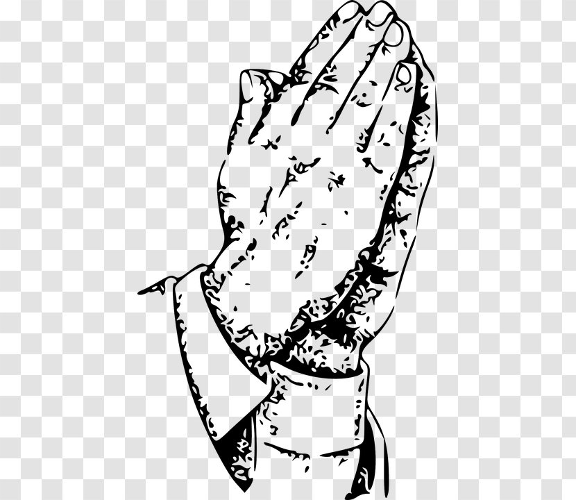 Praying Hands Bible Study God's Word Prayer - Cartoon - Hand Border Transparent PNG