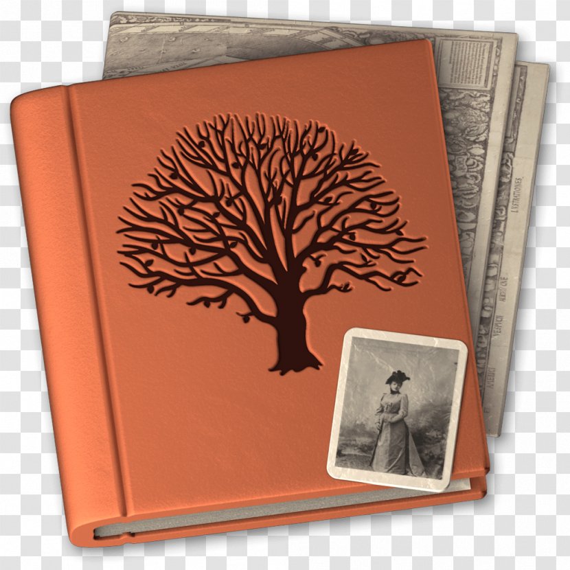 MacFamilyTree Family Tree Genealogy MacOS - Macfamilytree Transparent PNG