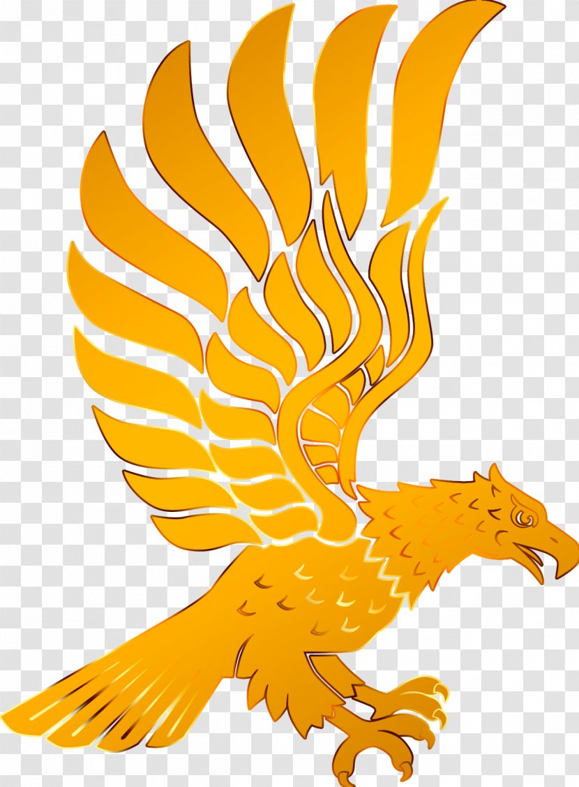 The Golden Eagle Bird - Of Prey Transparent PNG