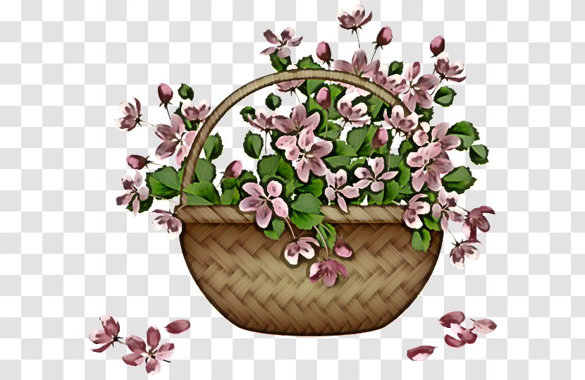 Floral Design - Plant - Perennial Wildflower Transparent PNG