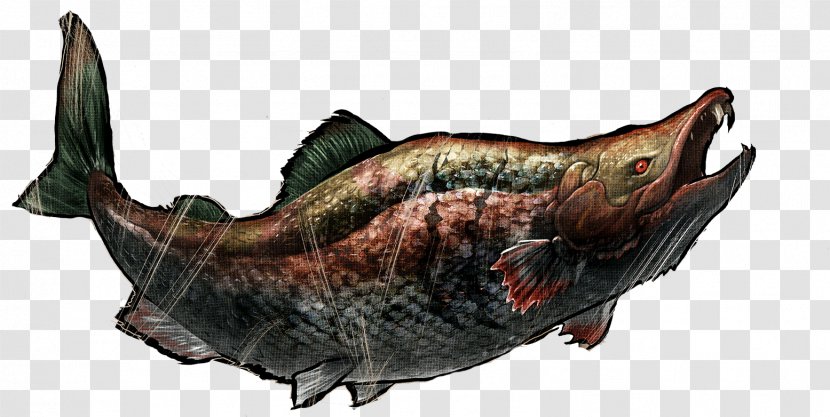 Fish ARK: Survival Evolved Oncorhynchus Rastrosus Chinook Salmon Pliocene - Seafood - Jaw Transparent PNG