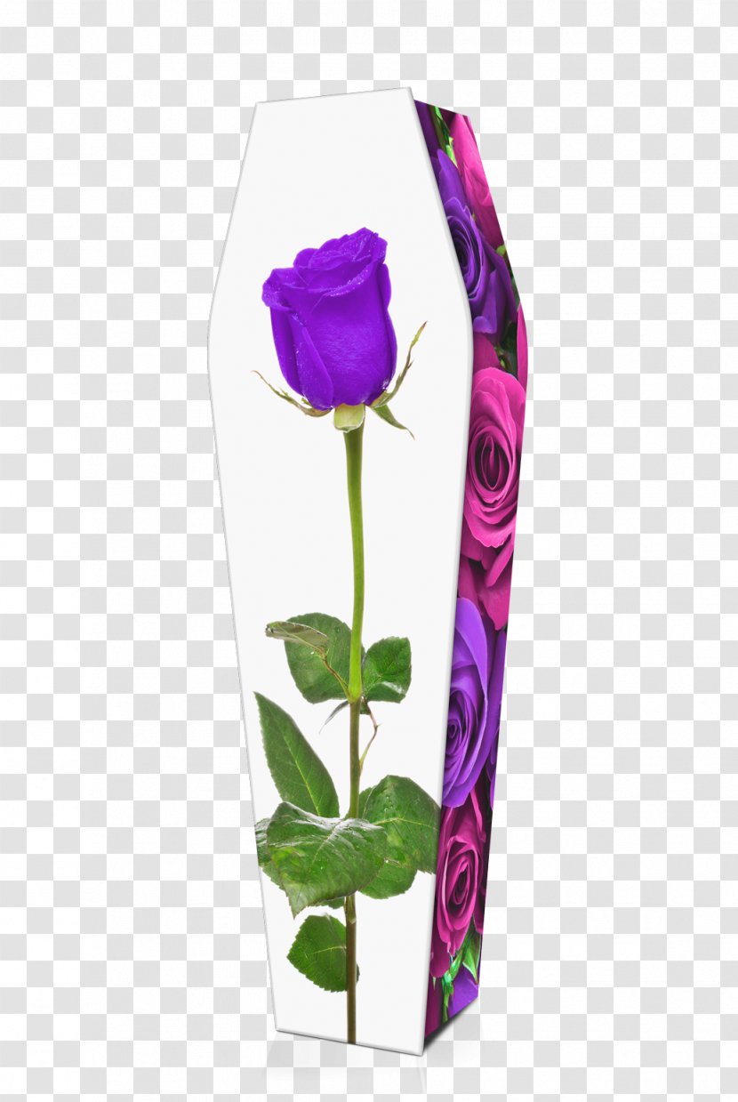 Garden Roses Purple Flower - Floral Design - Rose Home Transparent PNG