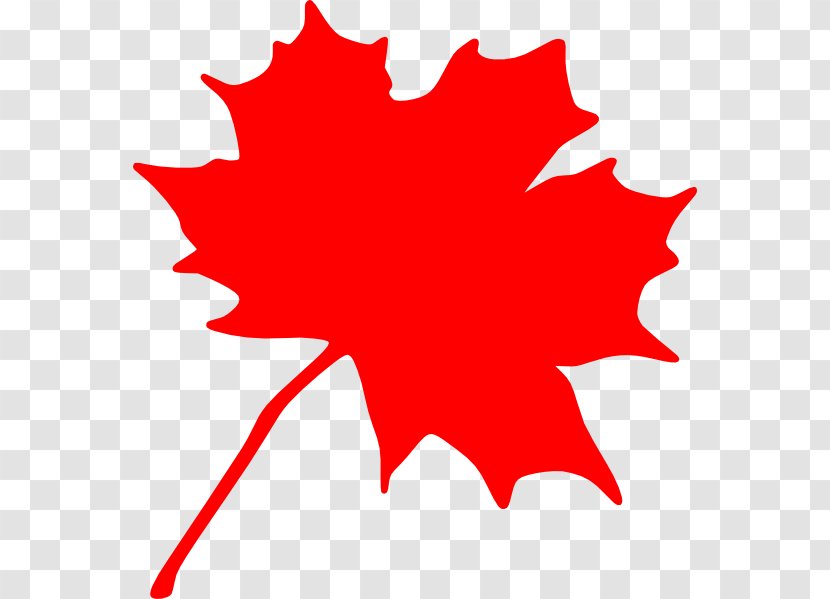 Canada Red Maple Leaf Clip Art - Flag Of - Maples Cliparts Transparent PNG