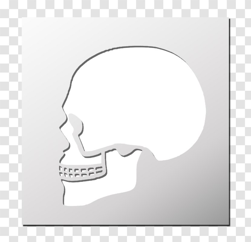 White Thumb Jaw Skull - Rectangle Transparent PNG