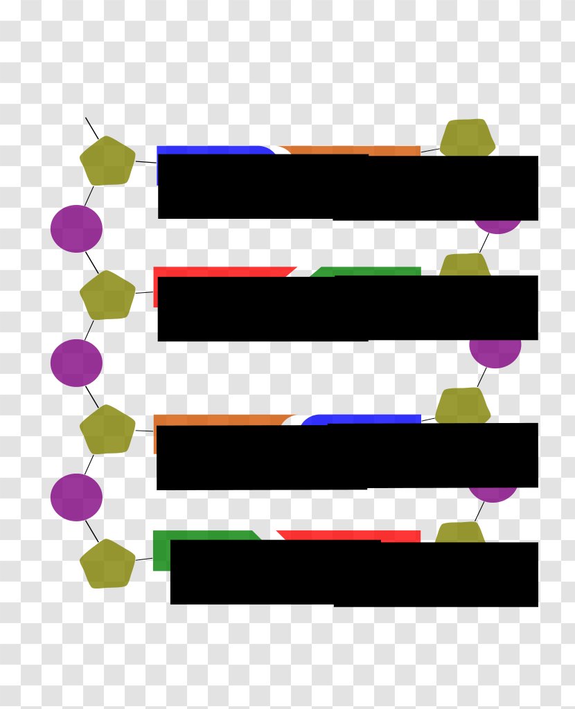 Document Clip Art - Purple - Dna Structure Transparent PNG