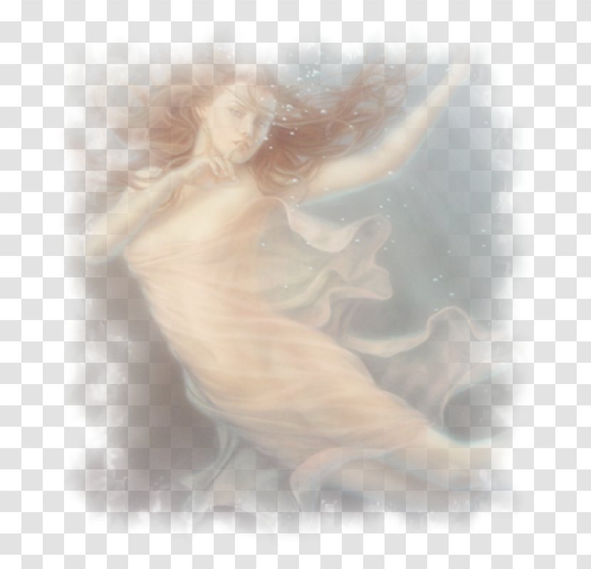 Fairy Stock Photography Sky Plc Angel M - Tree Transparent PNG