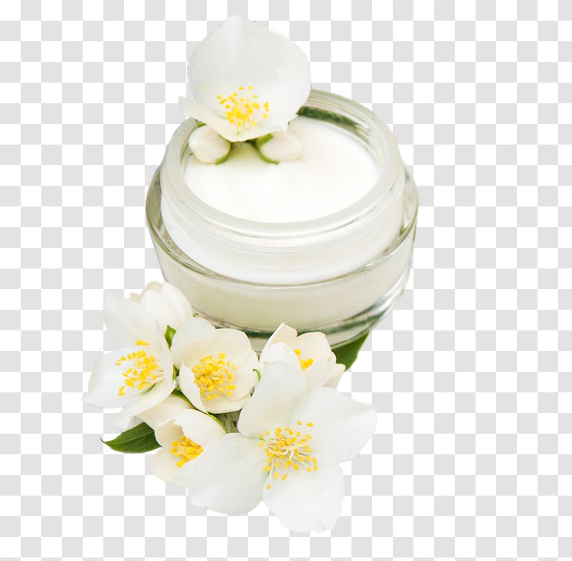 Cream - Petal Transparent PNG