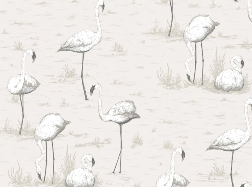 Son Paper Wall Teal Wallpaper - Flamingo Transparent PNG