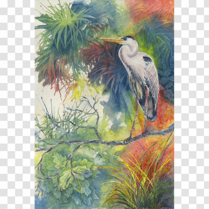 Watercolor Painting Heron 14th Annual Coral Springs Festival Of The Arts & Crafts - Artist Transparent PNG