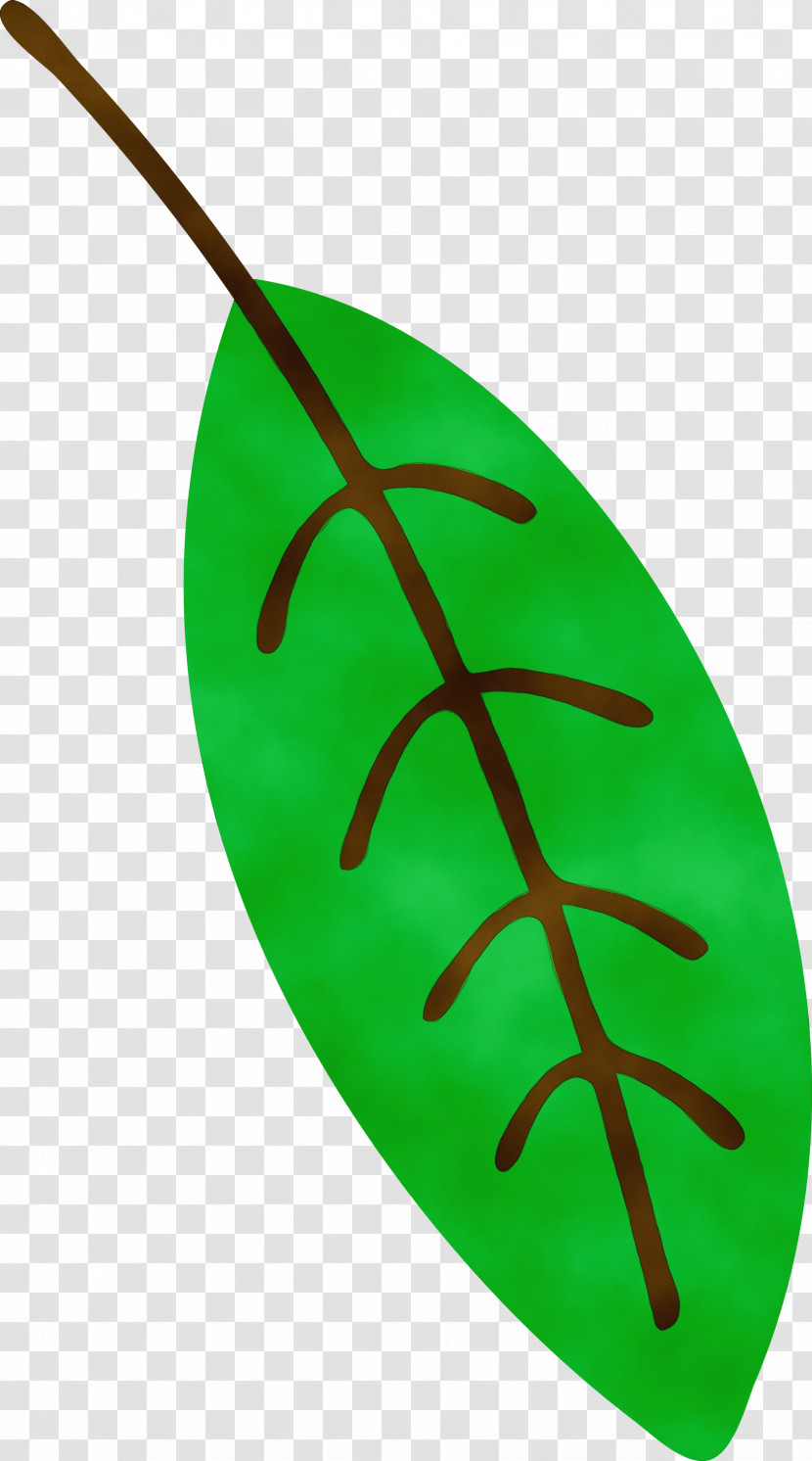 Leaf Green Biology Plants Science Transparent PNG