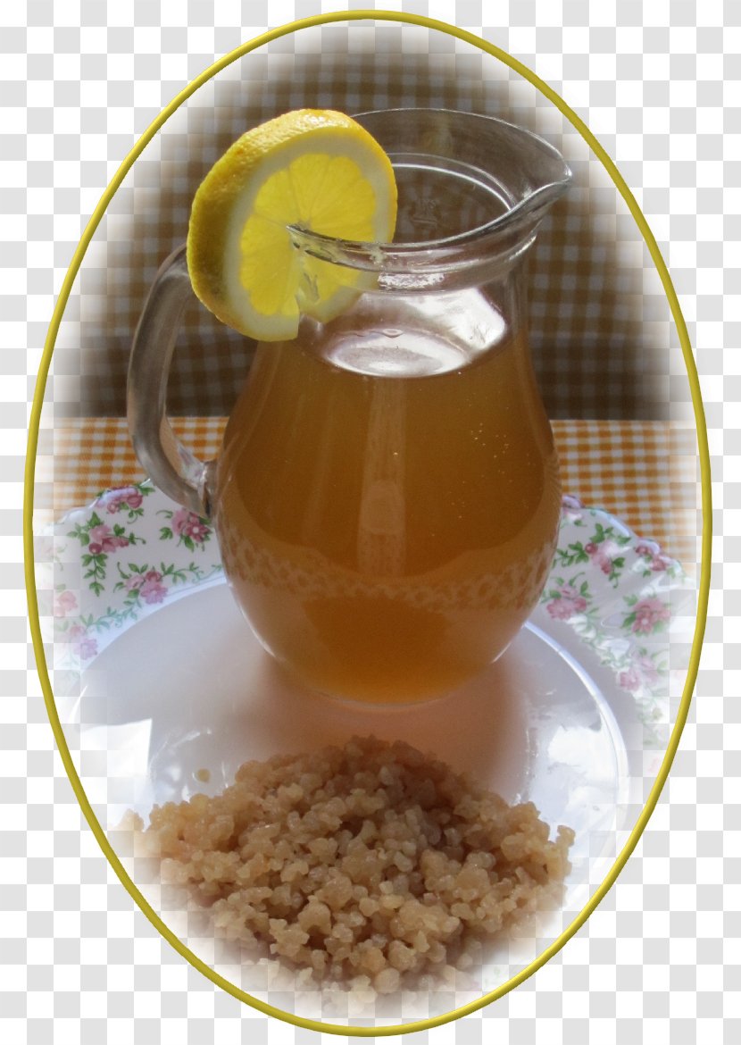 Kefir Tibicos Coconut Water Milk Kombucha - Tomando Agua Transparent PNG