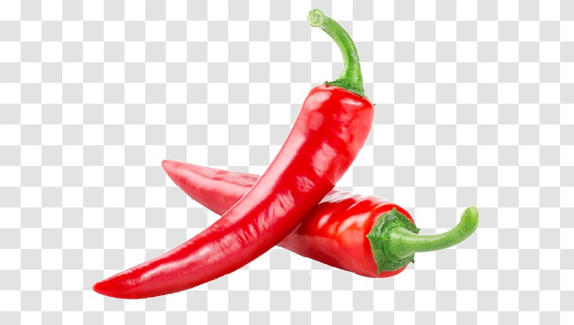 Chili Pepper Doner Kebab Capsicum Capsaicin Chillis - Tabasco - Red Transparent PNG