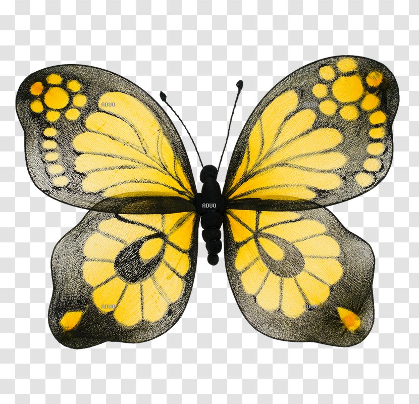 Bird Yellow Animal Butterflies And Moths Turquoise Transparent PNG