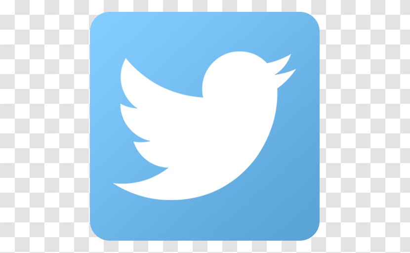 Social Media Facebook Thumbnail Icon - Sky - Twitter Hd Transparent PNG