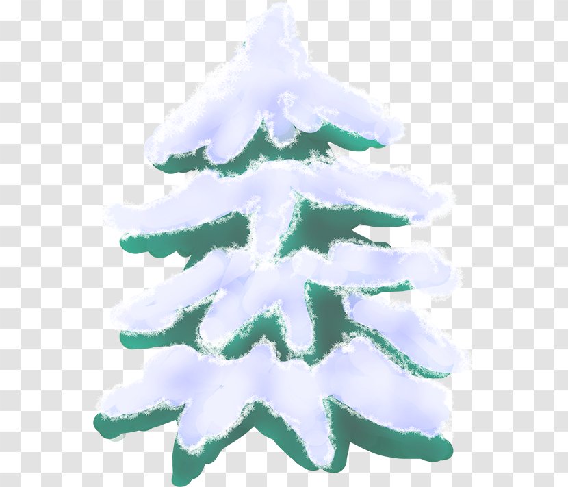 Fir Christmas Ornament Spruce Tree Transparent PNG
