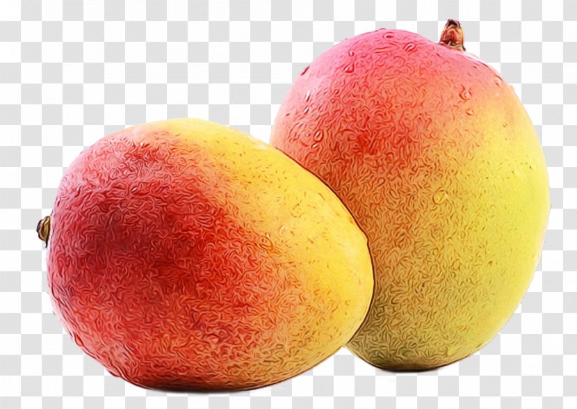 Mango Tree - Apple - Drupe Transparent PNG