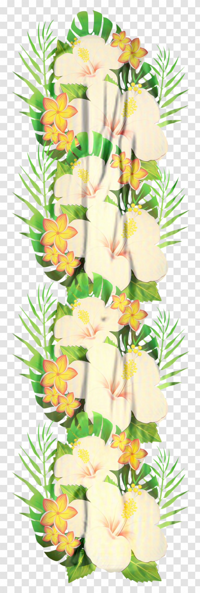Flowers Background - Plant - Anthurium Floristry Transparent PNG