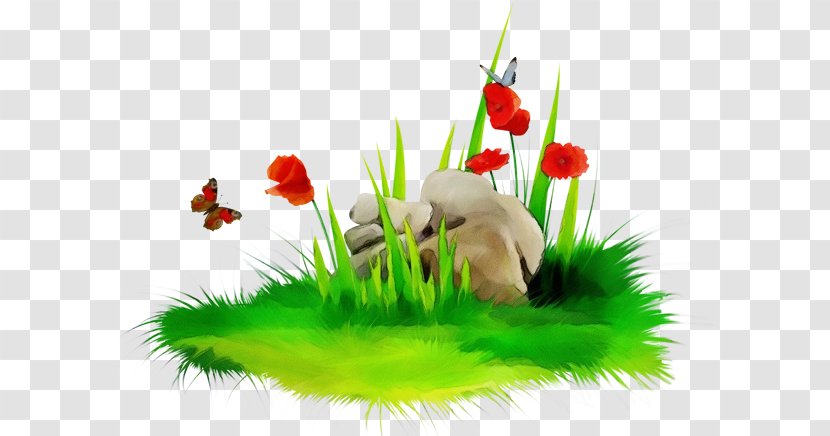 Grass Plant Transparent PNG