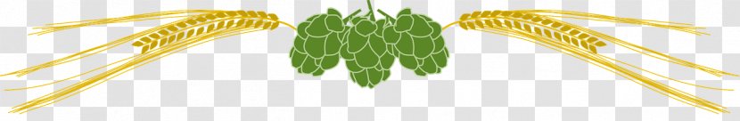 Craft Beer Bački Petrovac Emmer World - Hops And Barley Transparent PNG